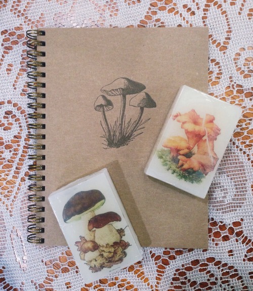 mushroom notebook