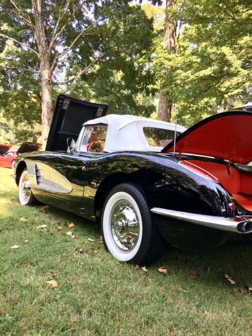 1958 ragtop Corvette sporting a 283. Not sure of which of the 4 engine options in the 283 this car h