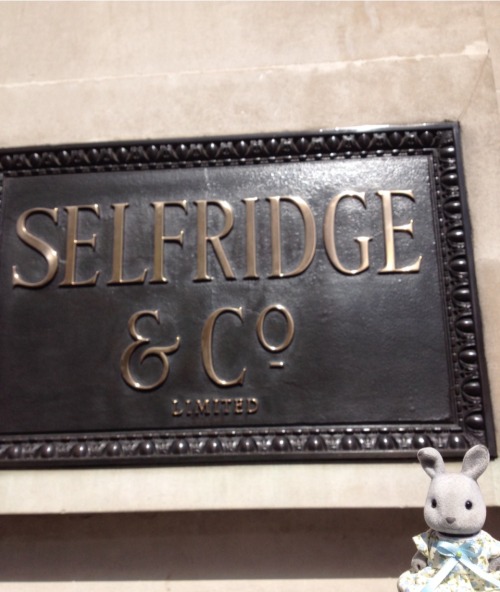Michelle the rabbit visited Selfridges today. She was disappointed not to find a dashing frenchman i
