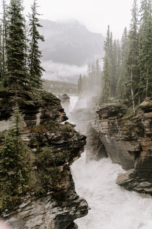 expressions-of-nature:by Angela BaileyHey, I’ve been there! That’s Jasper National Park. Why would a