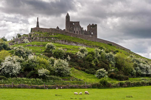 pagewoman:Rock Of Cashel (Carraig Phádraig) Co.Tipperary, Ireland by Pierre Leclerc 