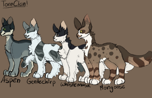 Doodled One Of My Favorite Clan Gen Clans, I Love TornClan So Much, Even If There's Only Four Of The