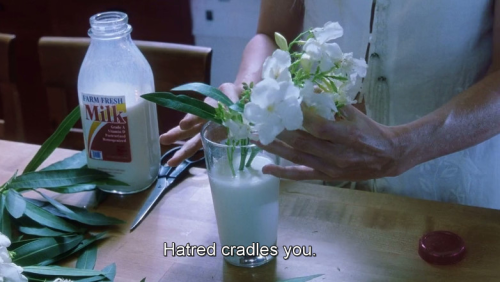 voirlvmer: White Oleander (2002) /   Clarice Lispector, from “The Buffalo” / Lady Snowblood (1973) / Marlon James, from The Book of Night Women / Tirez sur le pianiste (1960) / Kiki Nicole, from “A Lot to be Mad About”