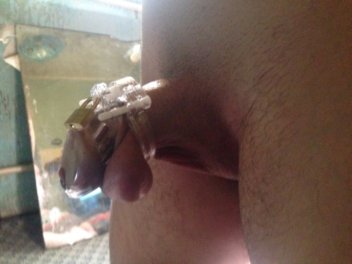 chastitybg: Good morning, from the cage