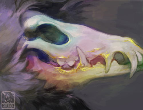 skulldog:Today’s my Birthday, the only day I am legally allowed to ask for some extra love in sharing my art around.Plus it would make me happy, the last few months with the overseas move was pretty draining.Follow me  | Explore the Shop | Commissions