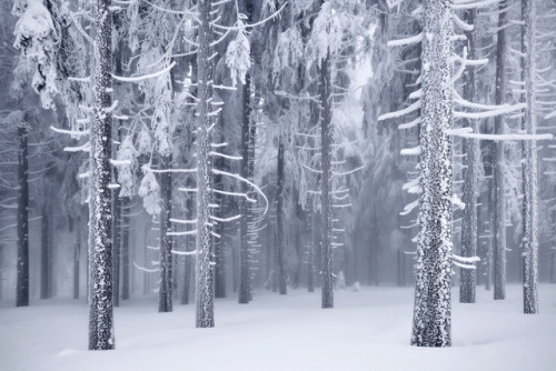 itscolossal: Frozen Landscapes Tell a Winter’s Tale in New Photographs by Kilian Schönber