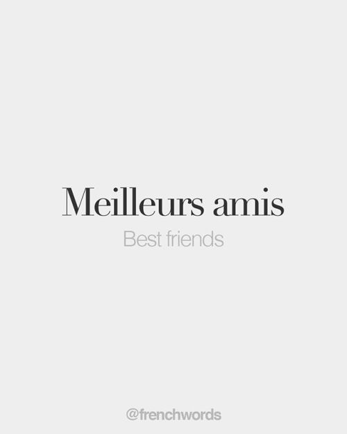 bonjourfrenchwords - Meilleurs amis (feminine - meilleures amies)...