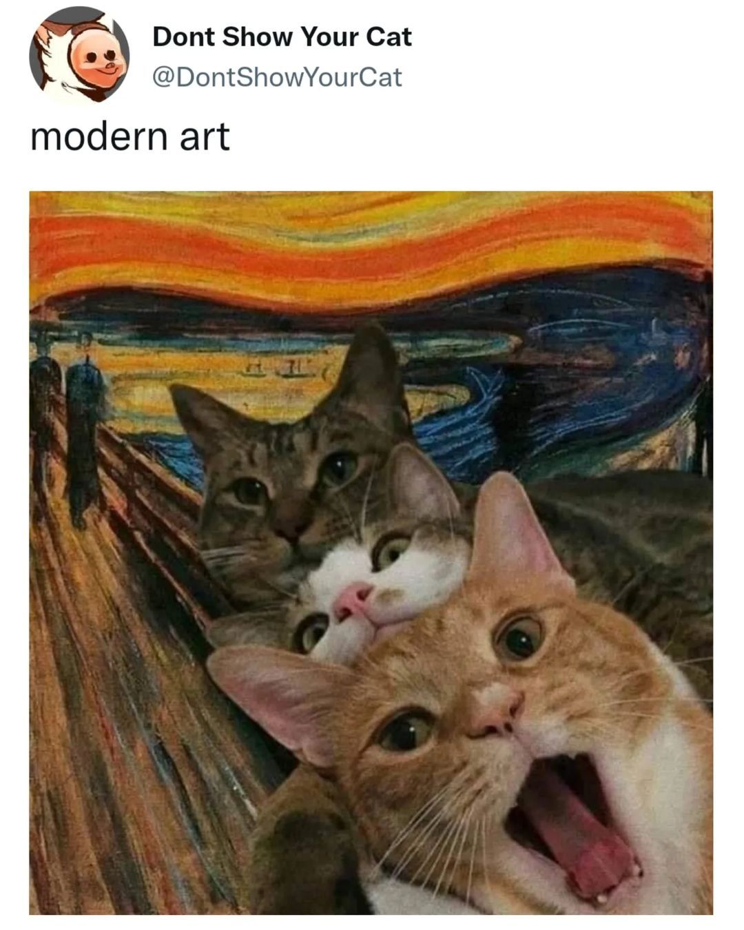 🐱 Follow me for more art...