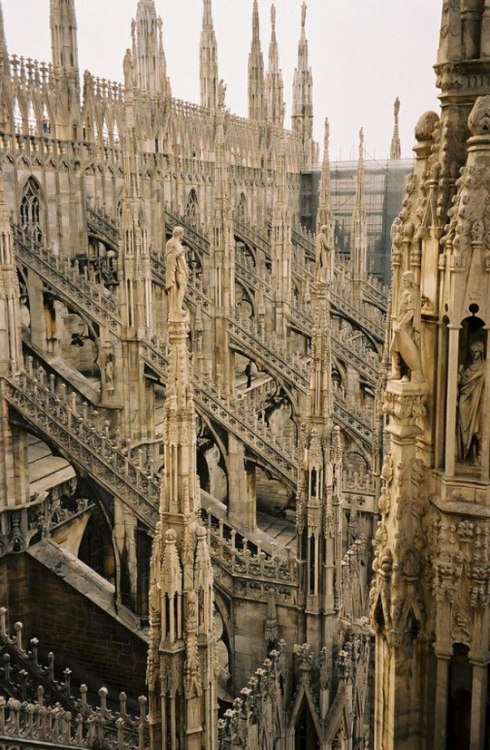 cristianocattolico1:Duomo di Milano