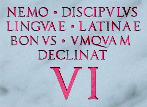 interretialia:Nemo discipulus Linguae Latinae bonus umquam declinat VINo good Latin student ever dec