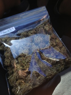 dcnupe:  blisssfully-stoned:  dopeitssal:  Yo lets smoke?   ok  I’m in turnup