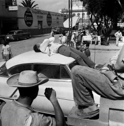 imperativesentience:Larry Fink, “The Beats,”