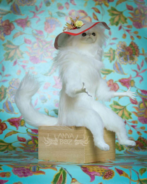 Who is she?Summer Vacation Persian Cat Room GuardianFor auction! www.ebay.com/itm/3246545643