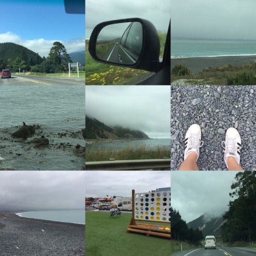 queensandkingsofattolia: abadpoetwithdreams: abadpoetwithdreams: A compilation of NZ road trip photo