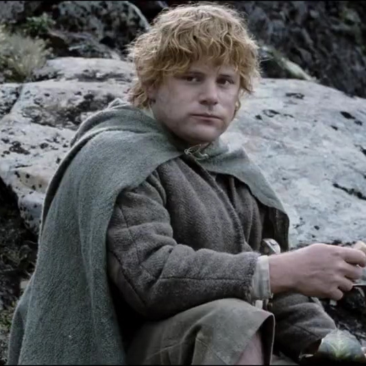 Rooted hair color for Samwise? 9fa07acdccff88106ce100dec8e09cf08708ee5d