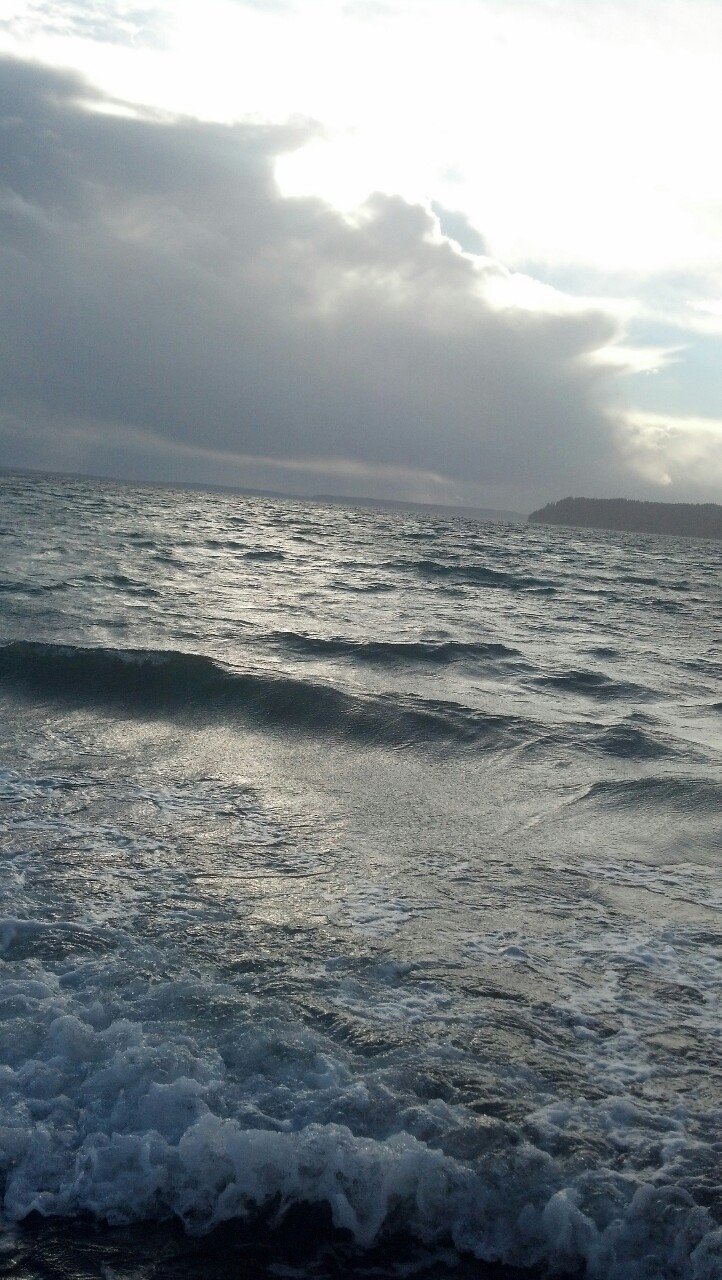 We went to the beach today