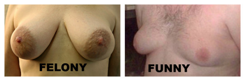 terracottainn:  Politicians in North Carolina are obsessed with the sight of a bare nipple. Yet. if you look at this photo, why should my bare nipples deserve a felony in NC and the other guys bare nipples be considered funny because they’re “moobs.”