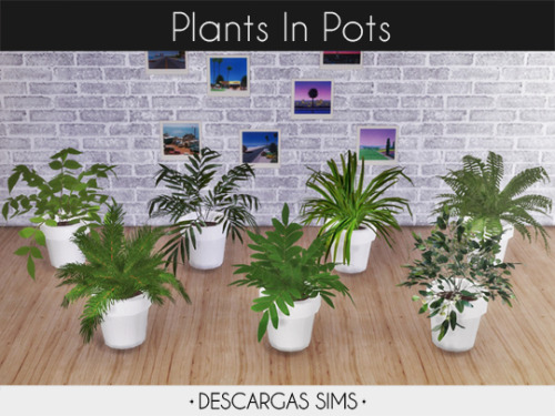 Plants In Pots-7 swatchesDOWNLOAD! at my blog!