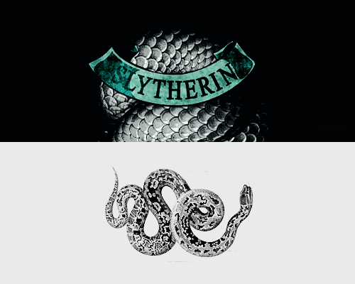  msdanconia asked: SLYTHERIN or HUFFLPUFF  Or perhaps in Slytherin. You’ll make