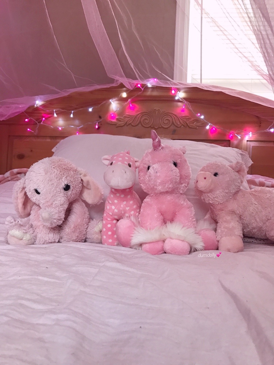 dumdolly:  a bed fit for a princess💖🌈🎀🦄👑  💕remove my caption and