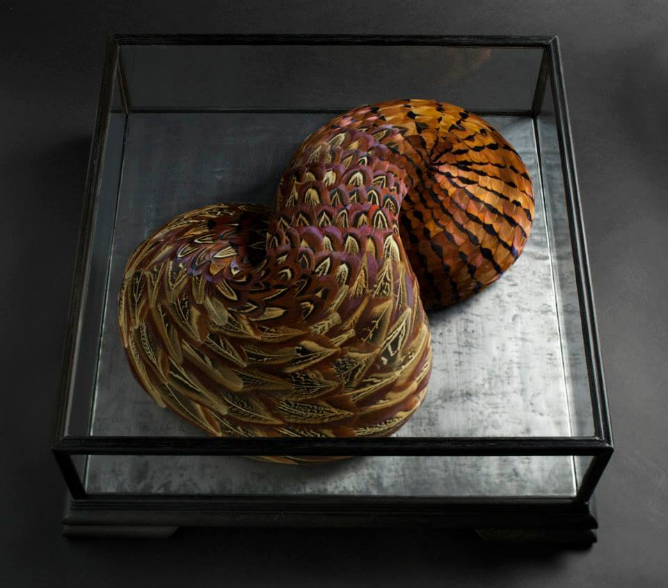 fer1972:  Sculptures made with Feathers by Kate MccGwire