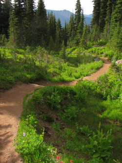 justemoinue2:  Naches Peak Loop Trail, Washington