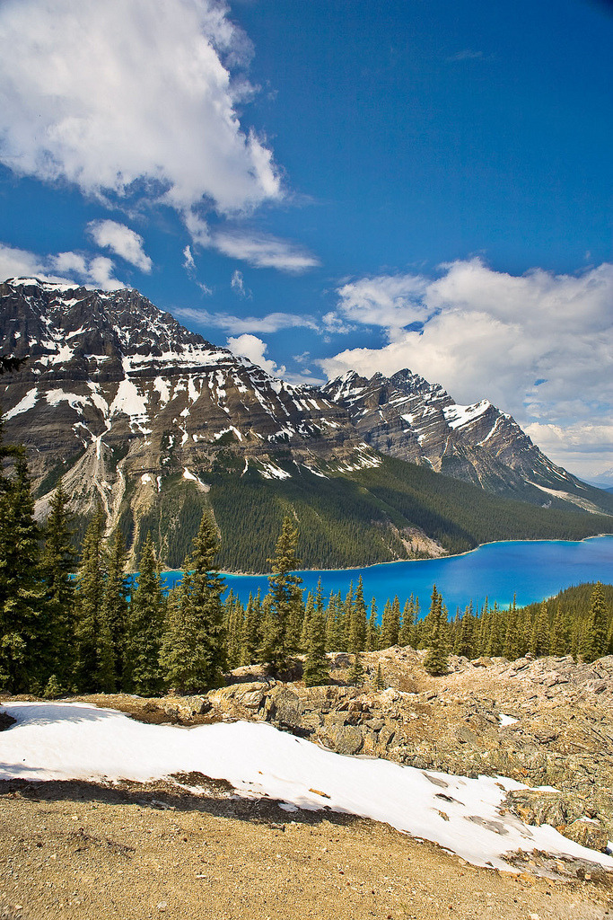 etherealvistas: Peyto Lake (Canada) by Jackpicks || Website