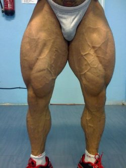 muscle by jake