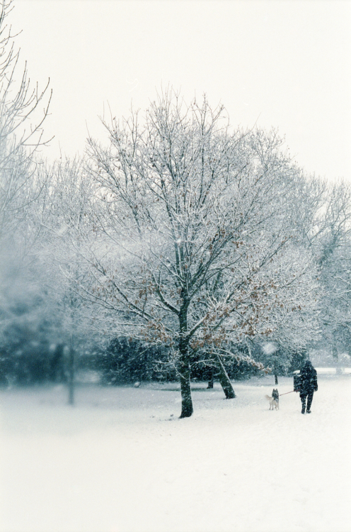 Snow, Cinestill 800t &amp; Bessa R2Awww.instagram.com/tffhopper/Youtube videowww