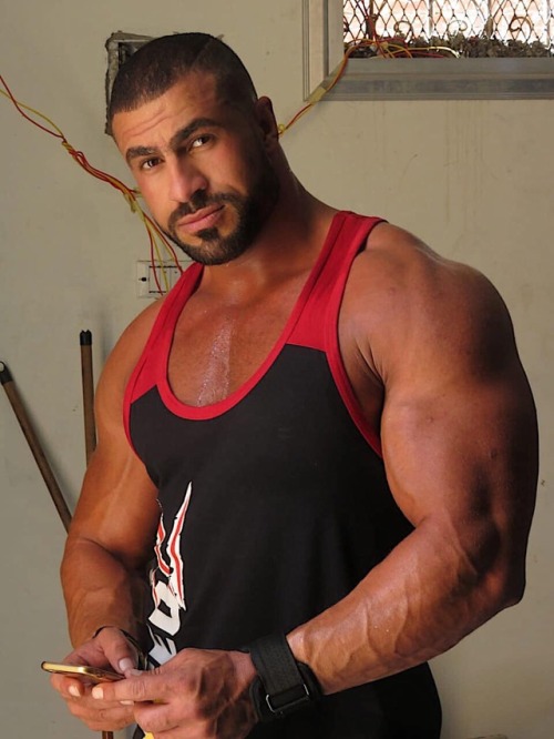 musclebears-men-at-large: Amr Zidan