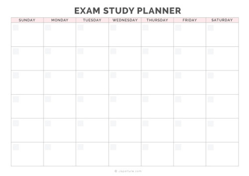 jackiejapalture: Hi, there! I have a big exam next month and decided to create an exam study kit to 