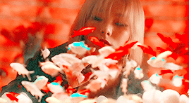 dazzlingkai:MAMAMOO | WIND FLOWER (2018); Here’s a cliche love story of mine, a break up just like a