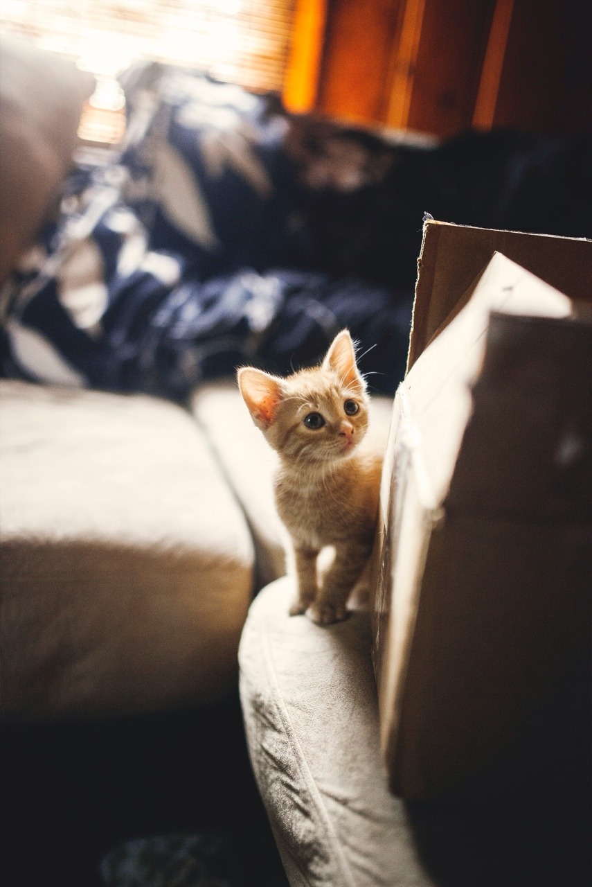 jordan-kuder:  Baby Nahla and box Photo by Jordan Kuder