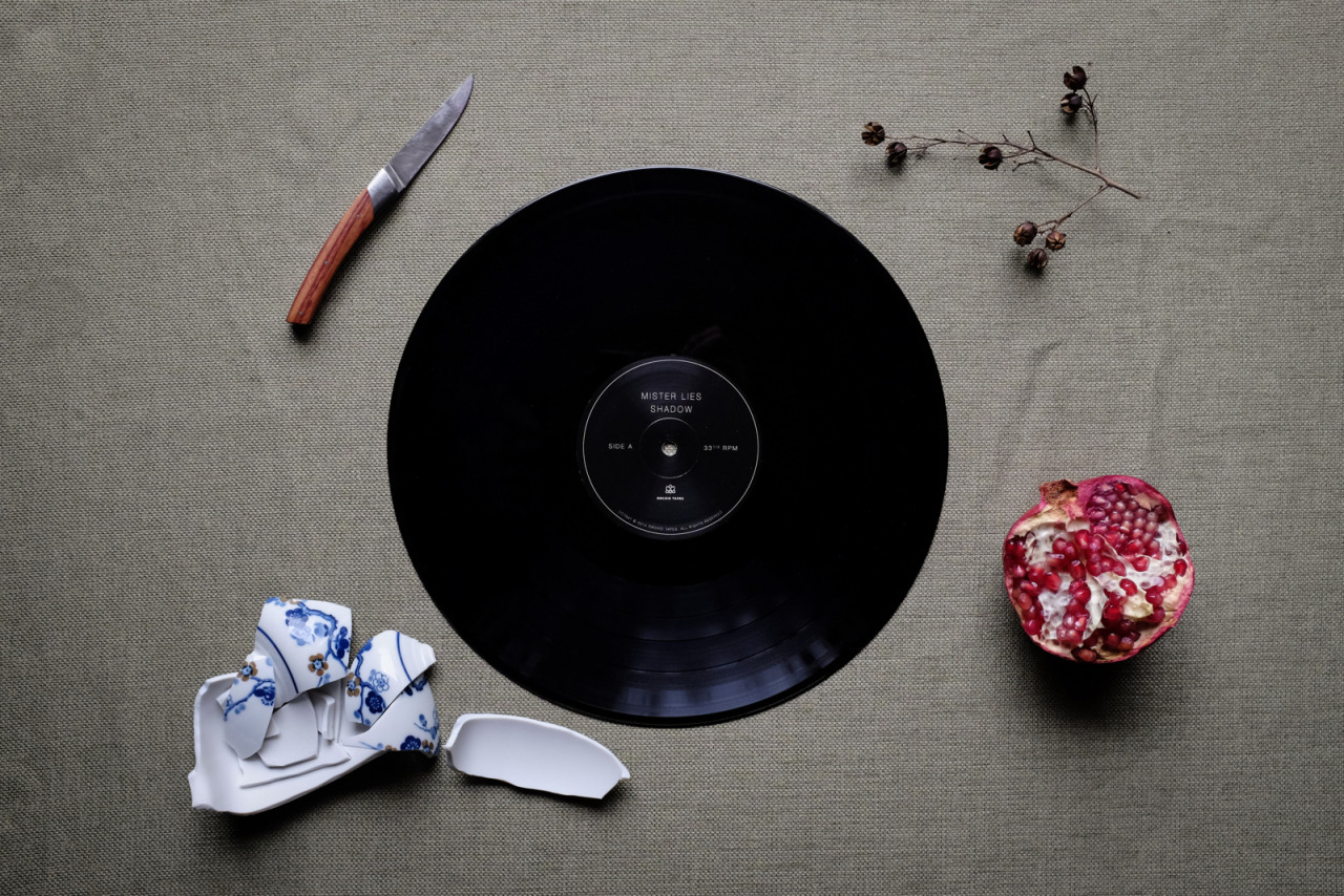 kateoplis:  Vinyl Fever, Clay Rossner | Tumblr 