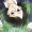 MrGhostMark