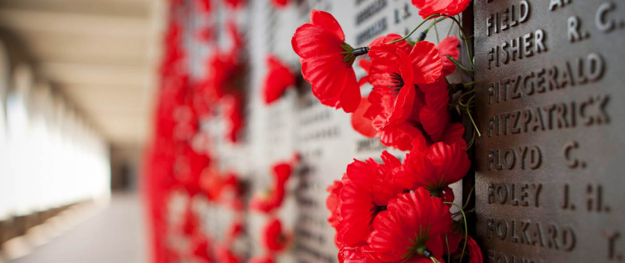 theroyalsaremydrug:  Never was so much owed, by so many, to so few Lest We Forget