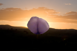 qonorrhea:  The crack of dawn. 