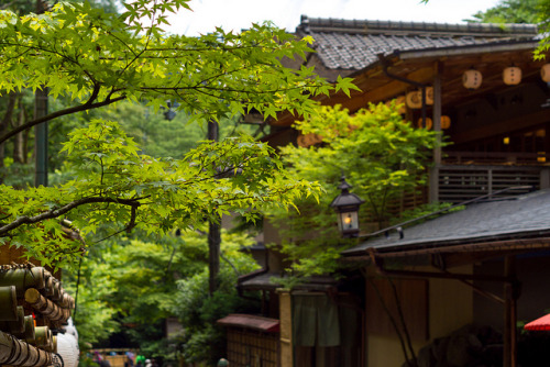 taarik7:右源太 - 貴船 ／ Ugenta - Kibune by Active-U on Flickr.