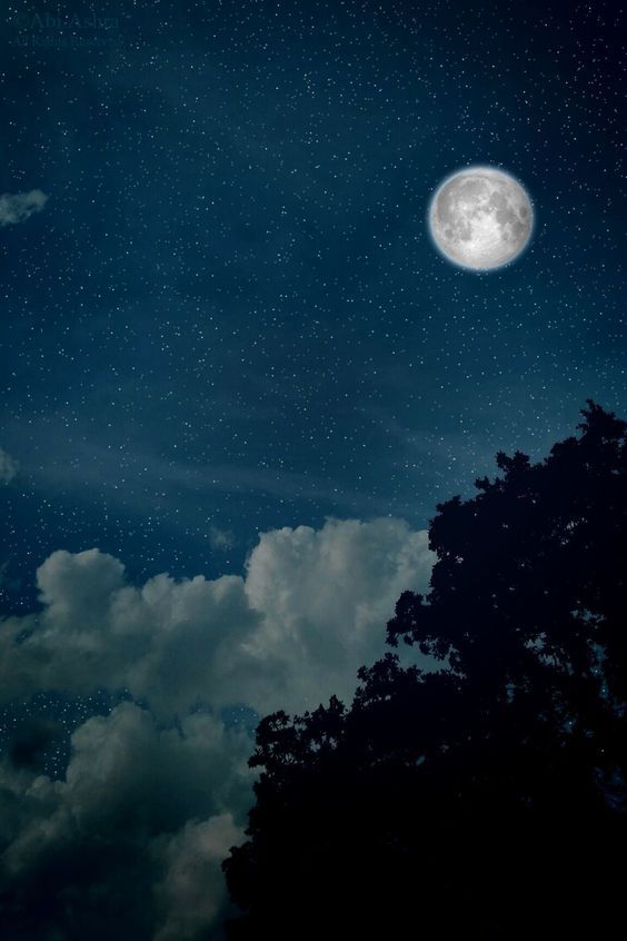 trasemc:  The beauty in the sky
