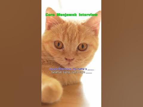 Cara Menjawab #Interview #Pekerjaan dalam #Bahasa #Inggris