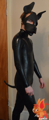 puppy-apollo:  puppixel:  puplarkin:  I haven’t posted any full rubber pictures in forever, so enjoy :)  *noms and lick shines*  Larkin’s a cutie pie for sure :3 