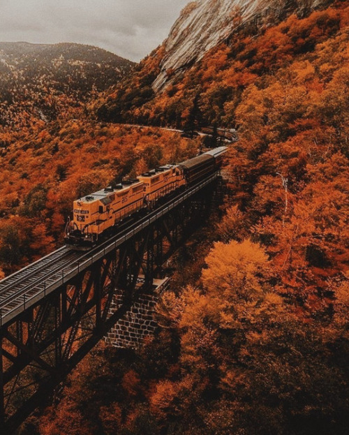 somethingsomethingtralala - Spooking, Spice, & All Autumn Nice
