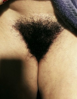 Hairy bush