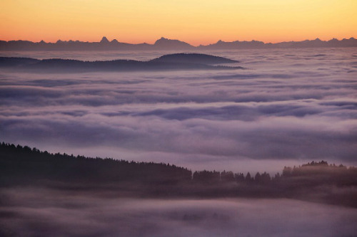 foxmouth: The Fog, 2014 | by Kilian Schönberger