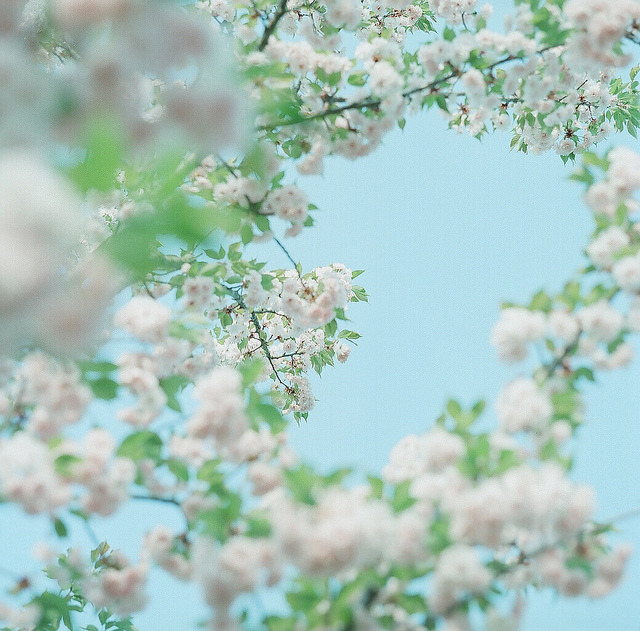 floralls:  by ki_coo 