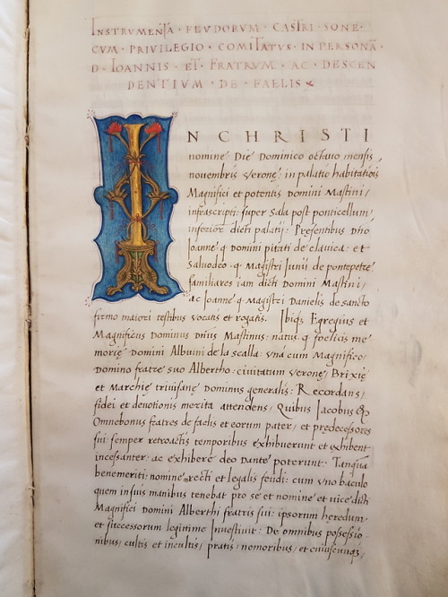 LJS 48 -  Instrumenta feudorum castri SoneHere we have some notarial copies in Latin of decrees