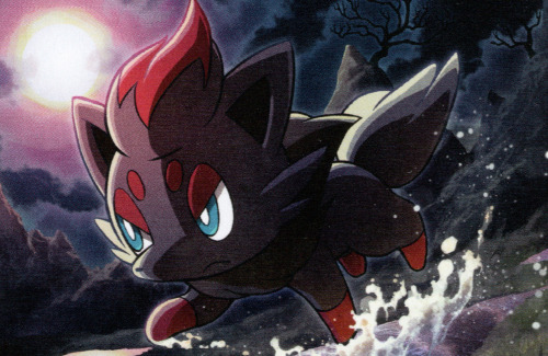 Zorua – Hitoshi Ariga