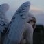 clever-mean-angel