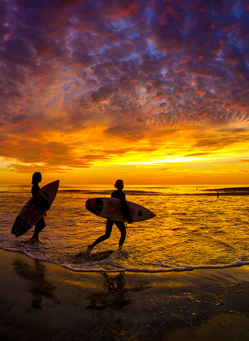 Peace and Surfing