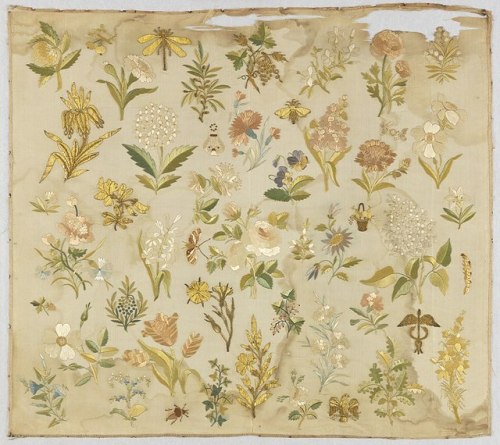 heaveninawildflower - Mexican needlework samplers.1) Early 19th...